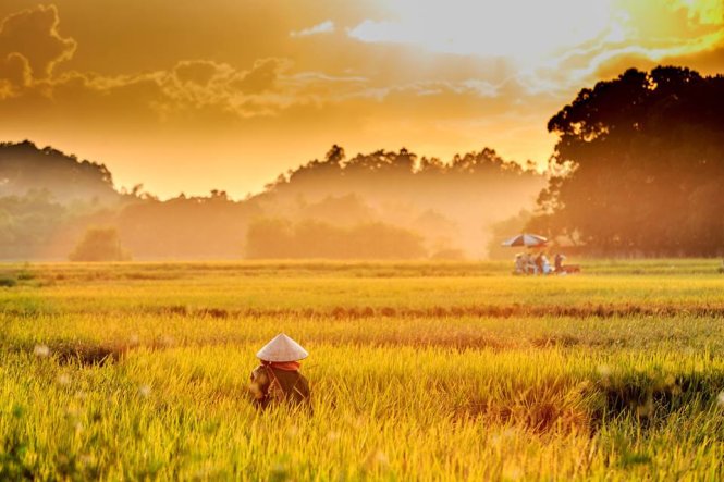 Hà[-]Tây[-]bình[-]dị[-]và[-]thơ[-]mộng[-]dưới[-]ống[-]kính[-]nhiếp[-]ảnh[-]gia[-]Nguyễn[-]Đình[-]Thành